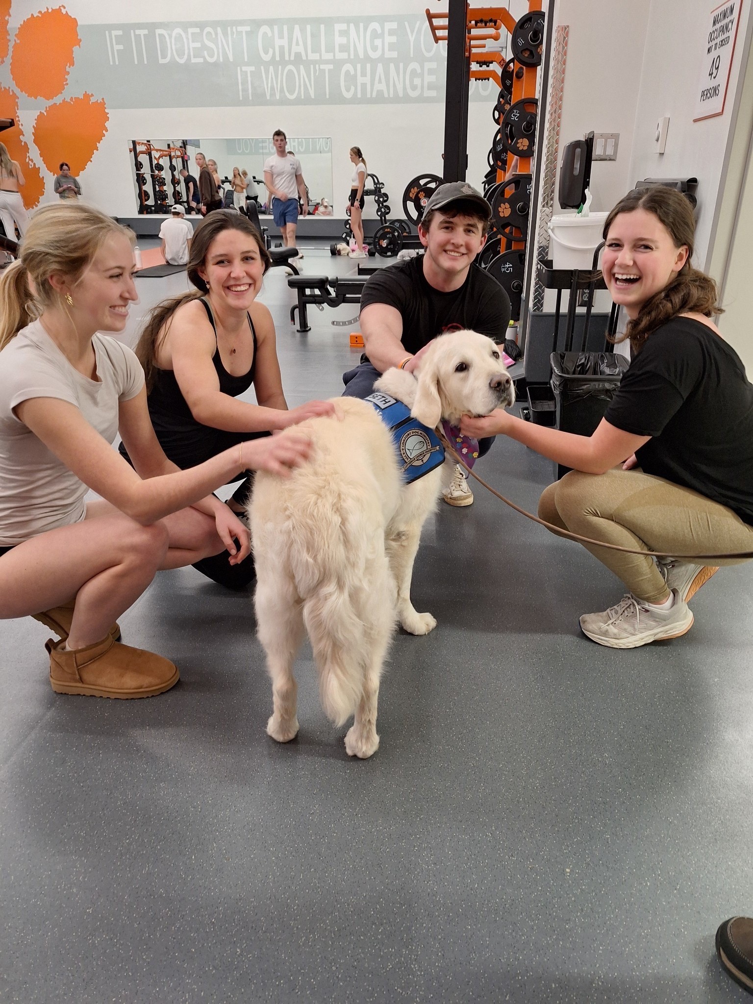 Comfort Dog Team 2 photo