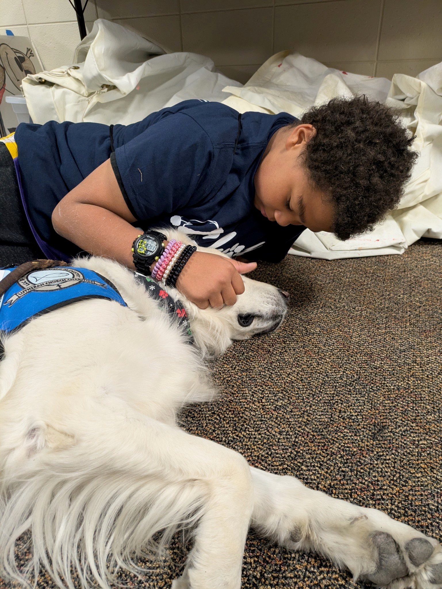 Comfort Dog Team 2 photo