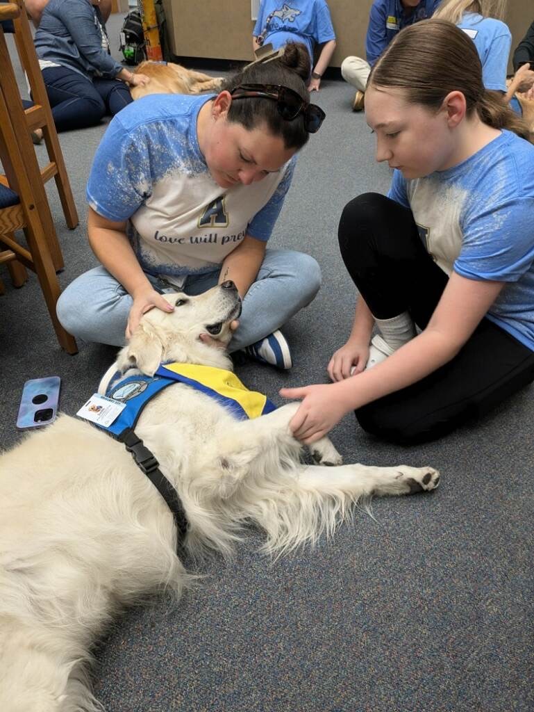 Comfort Dog Team 2 photo